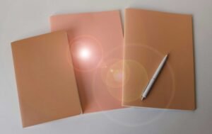 Noodzaak van Coaching voor Leraren